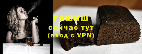 индика Новозыбков
