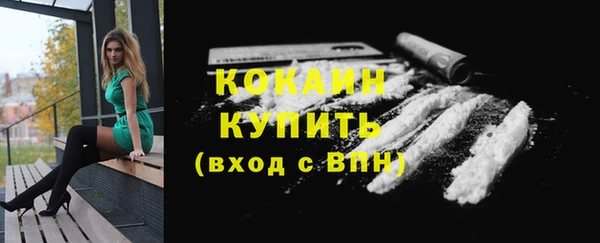 индика Новозыбков