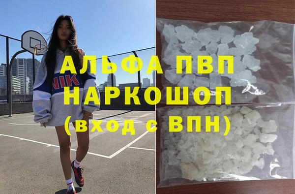 индика Новозыбков