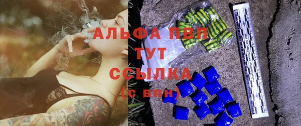 индика Новозыбков