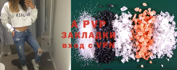 индика Новозыбков