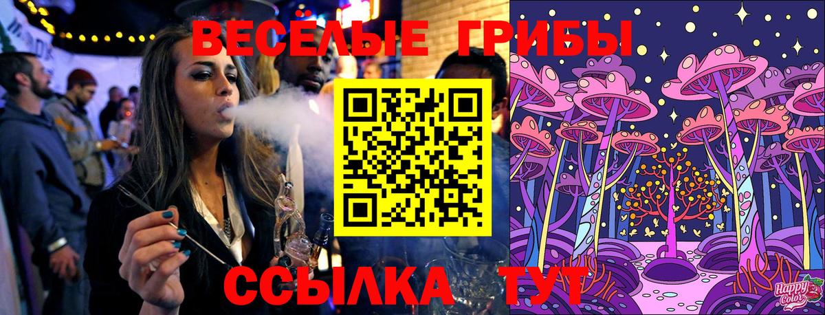 Псилоцибиновые грибы мицелий  наркотики  Кохма 