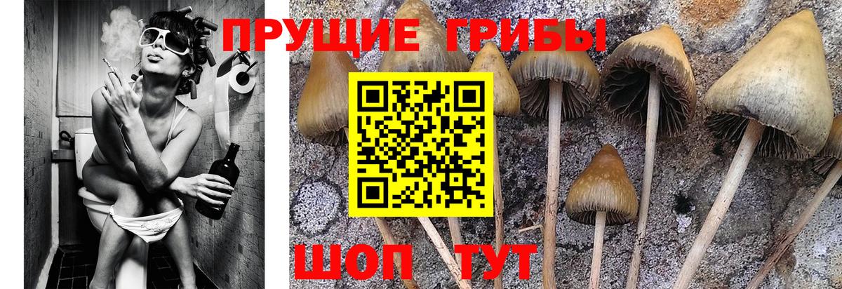 Псилоцибиновые грибы мухоморы  Псилоцибиновые грибы мицелий  Вход с VPN  Кохма 