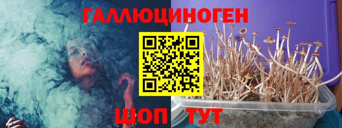 Псилоцибиновые грибы Magic Shrooms Кохма